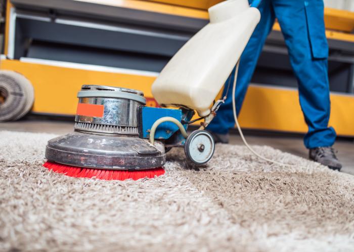 cleaning mold on carpet